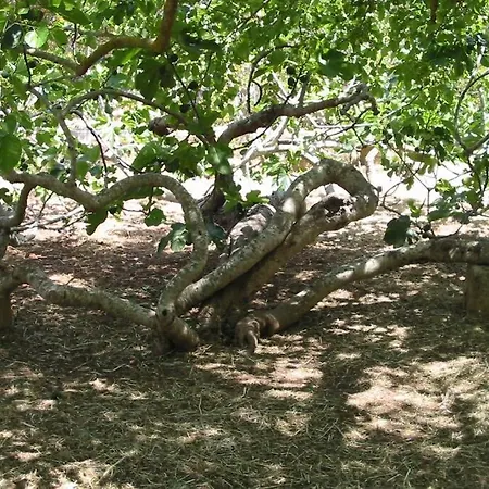 Casa Colonica Casa de Férias