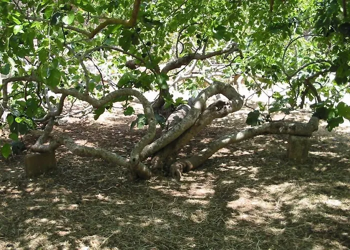 Casa Colonica בית נופש